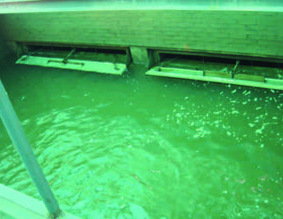 舞鋼浩輝水務自來水廠