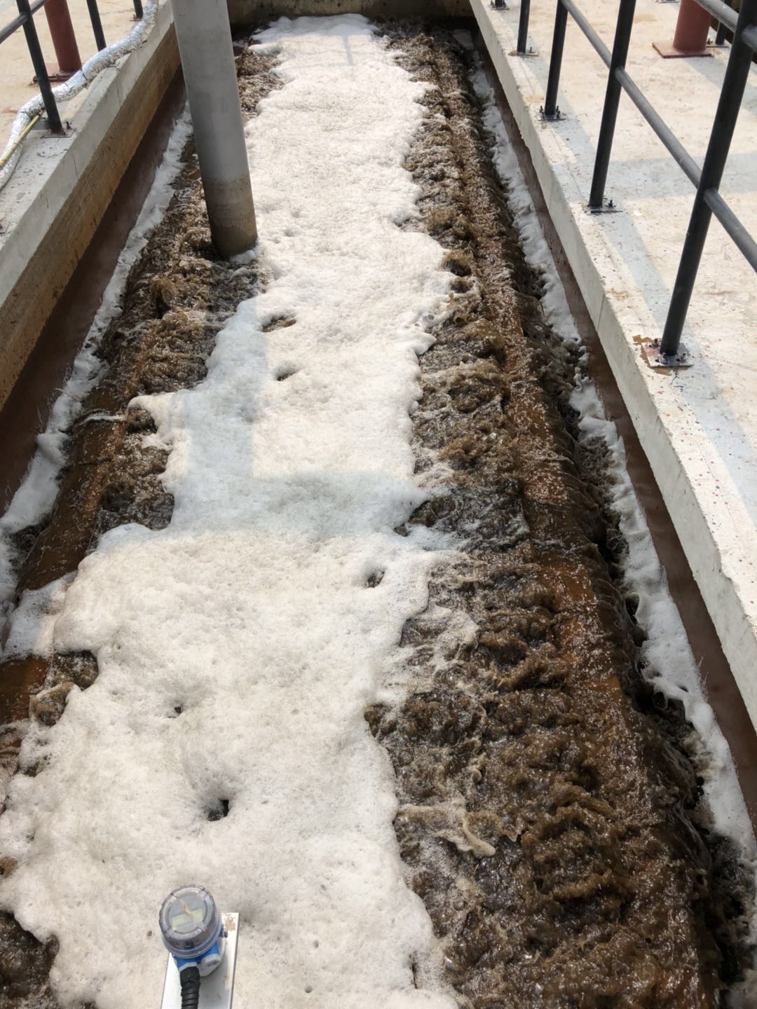 1667206044199804.jpg 2.jpg